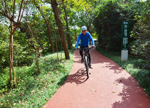 生態(tài)透水混凝土