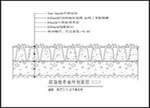 高承載植草地坪（5T斷面）