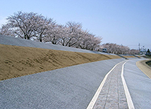 植生混凝土